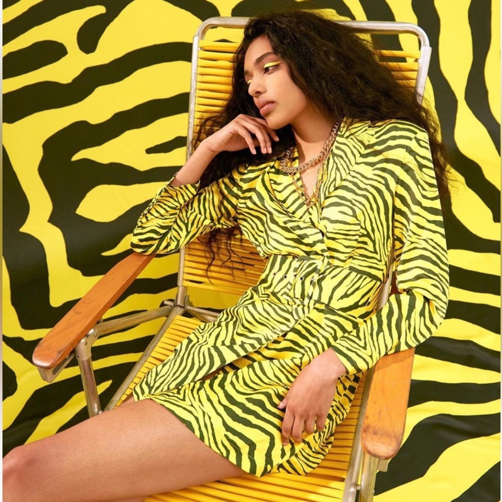 Apparis “Lexi Dress” Yellow Zebra print